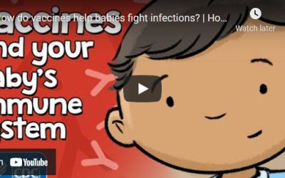 How do vaccines help babies fight infections? How Vaccines Work