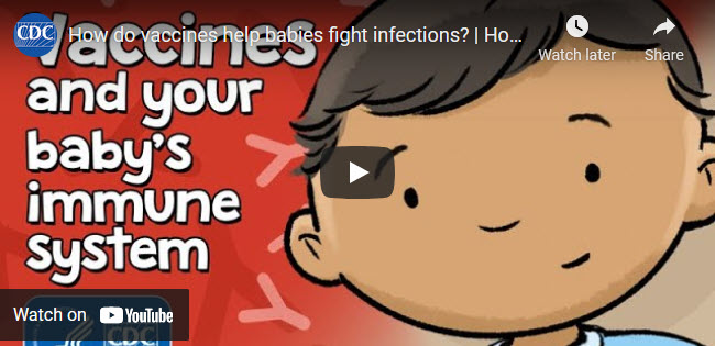 How do vaccines help babies fight infections? How Vaccines Work