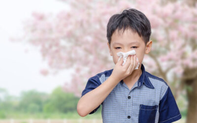 More Than a Quarter of U.S. Adults and Children Have at Least One Allergy