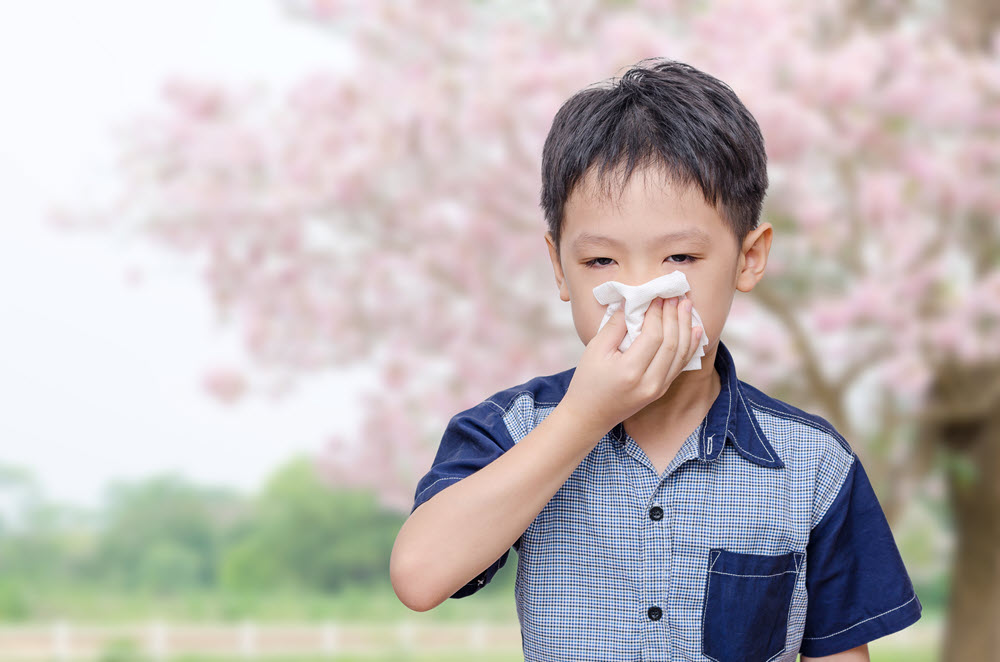 More Than a Quarter of U.S. Adults and Children Have at Least One Allergy