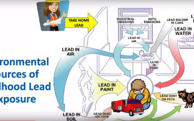 Lead Poisoning Prevention Training